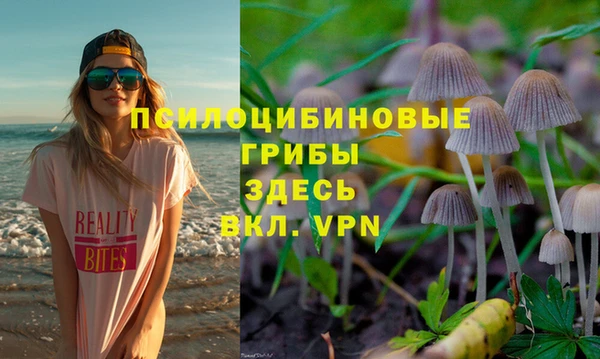 mix Белокуриха