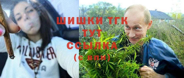 mix Белокуриха